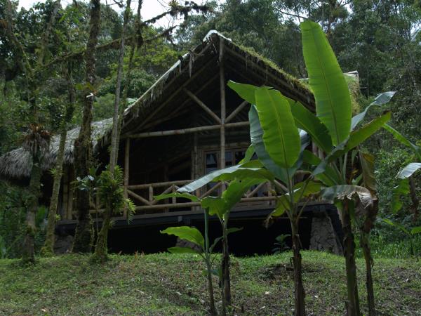 Maquipucuna cloud forest lodge, Ecuador