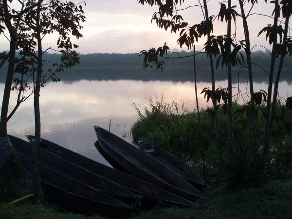 Ecuador ecolodge, Napo Wildlife Centre