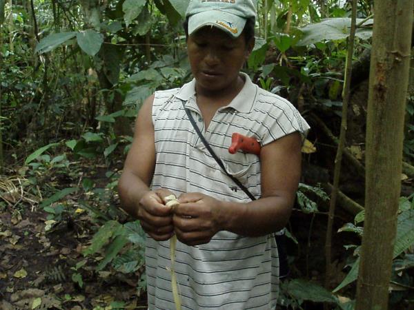 Ecuador ecolodge, Napo Wildlife Centre