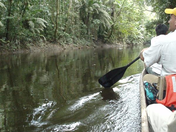 Ecuador ecolodge, Napo Wildlife Centre