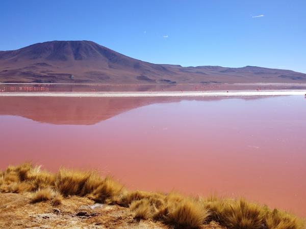Bolivia salt lakes, lagunas & volcanoes vacation