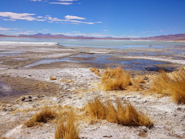 Bolivia salt lakes, lagunas & volcanoes vacation