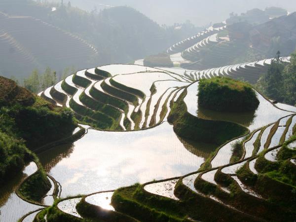 Exciting family vacation in China