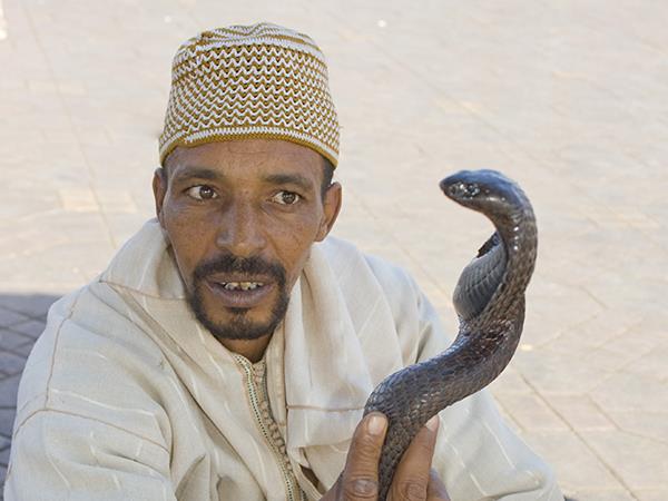 Marrakech and Atlas mountains vacation in Morocco