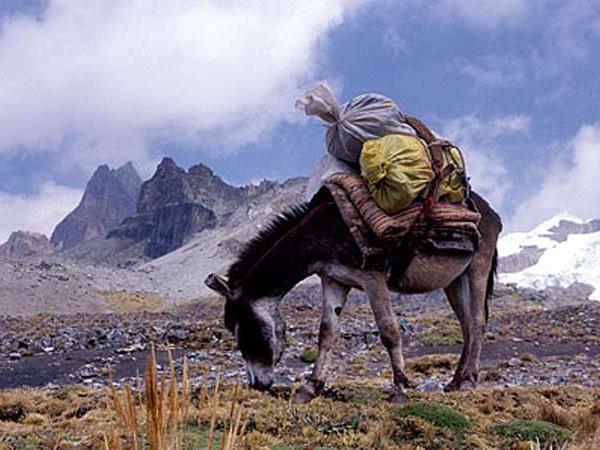 Cordillera Huayhuash trekking vacation