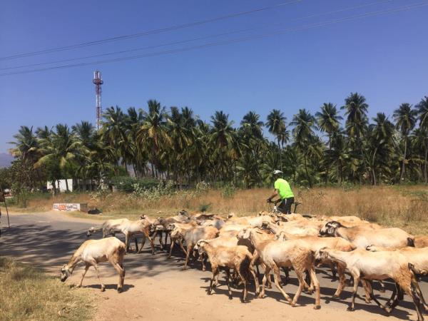 South India cycling tour, coast to coast