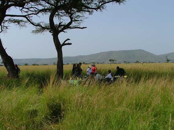 Kenya wildlife camping safari