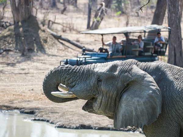 Malawi safari and beach vacation