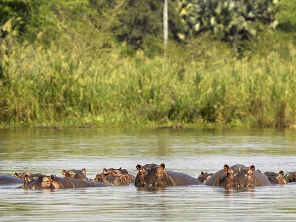 Malawi safari and beach vacation