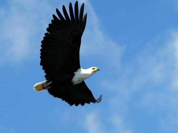 Malawi safari and beach vacation