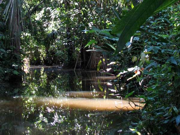 Peru tailor made vacation, Machu Picchu & Tambopata