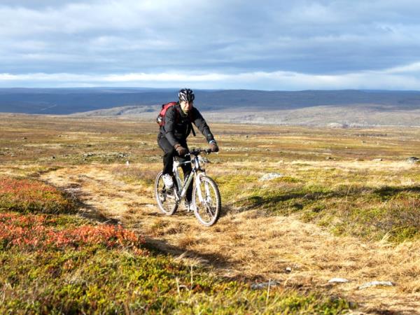 Mountain biking vacation, Finnish Lapland