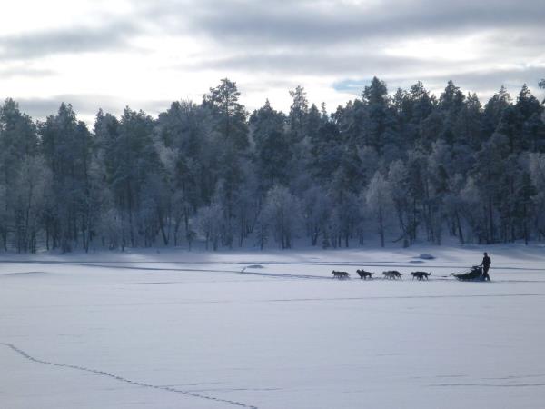 Northern Lights activity break in Finland, Arctic Hills