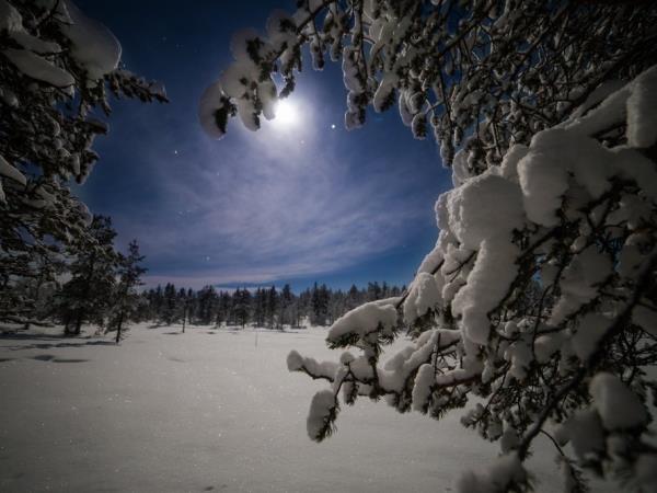 Northern Lights activity break in Finland, Arctic Hills