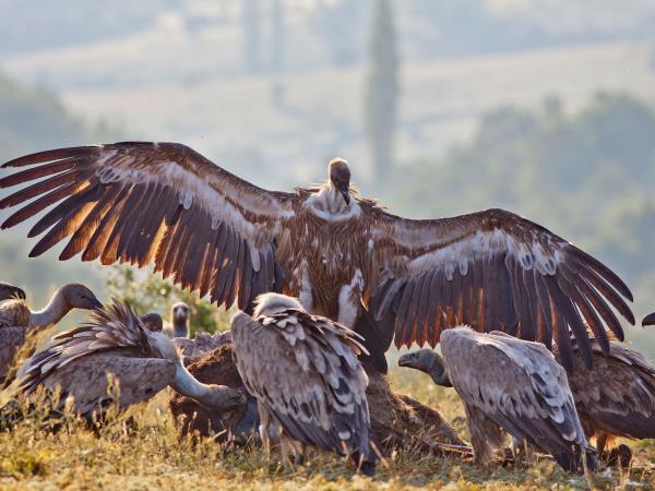 Family adventure vacation in Bulgaria