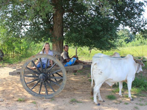 Tailor made classic family vacation to Sri Lanka