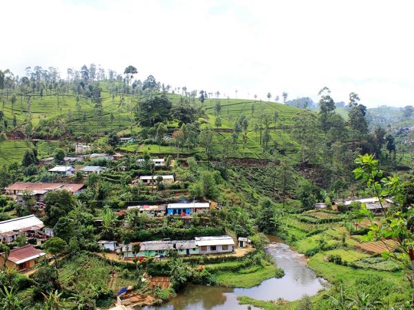 Tailor made classic family vacation to Sri Lanka