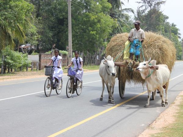 Tailor made classic family vacation to Sri Lanka