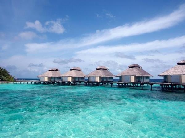 Honeymoon in Sri Lanka and Maldives