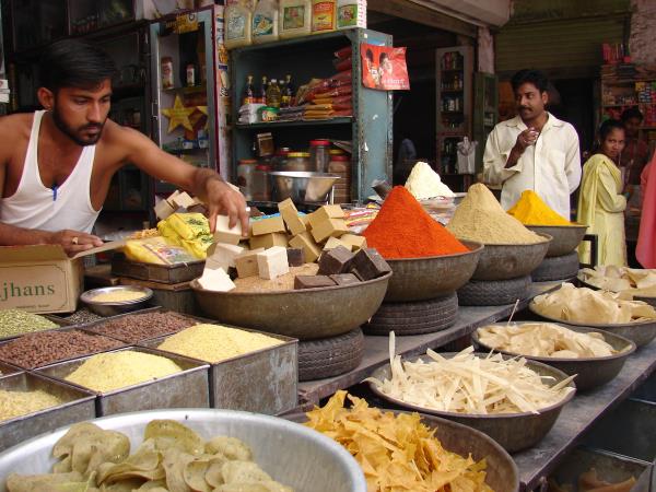 India family vacation