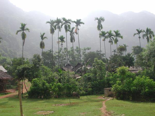 Vietnam Hill Tribe vacation