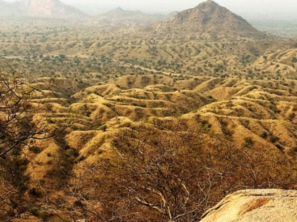 India wildlife and culture tour, Rajasthan