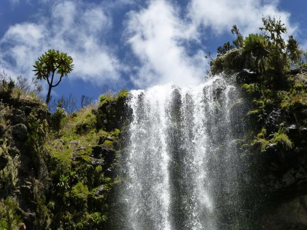 Mount Kenya walking vacation