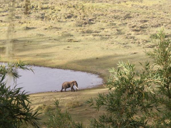 Mount Kenya walking vacation