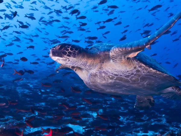 Galapagos Islands adventure tour