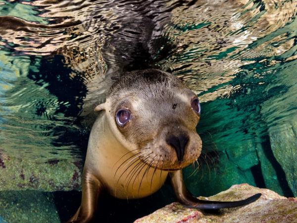 Galapagos Islands adventure tour