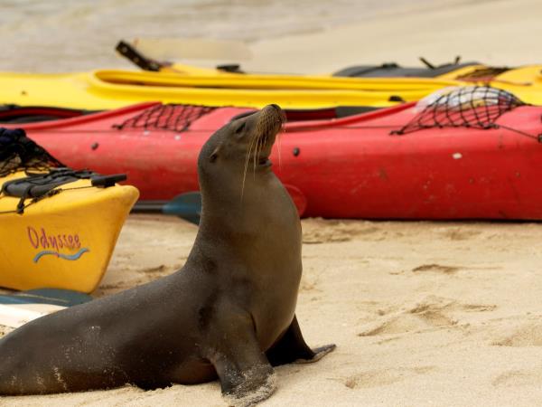 Galapagos Islands adventure tour
