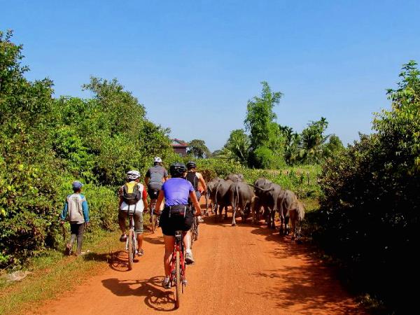 Cambodia biking tour, private departures