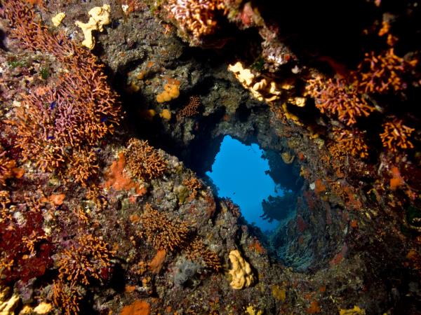 Liveaboard diving and sailing vacation in Greece