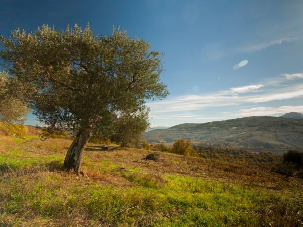Umbria self guided walking holiday, the North Valley