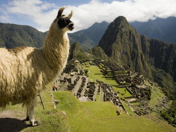 Exciting family holiday in Peru