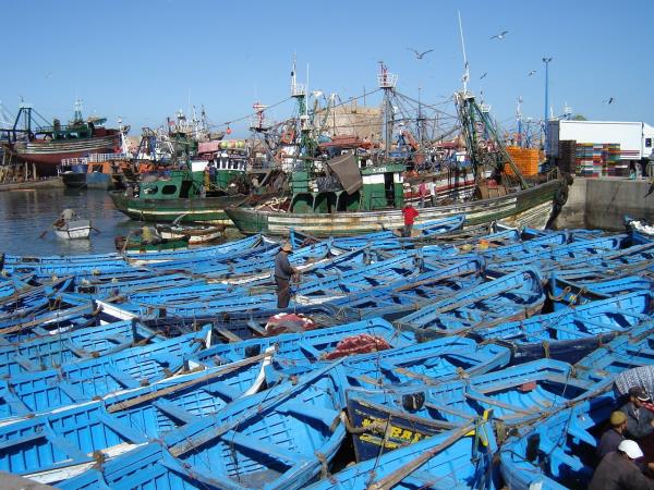 Exciting family vacation in Morocco