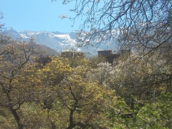 Exciting family vacation in Morocco
