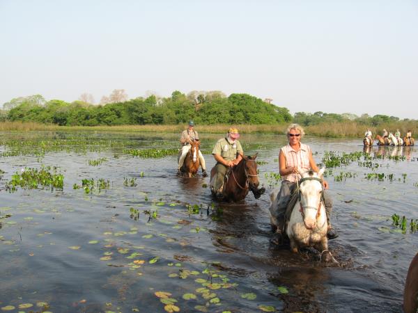 Brazil vacation, tailor made