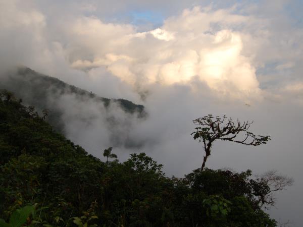 Colombia walking vacation