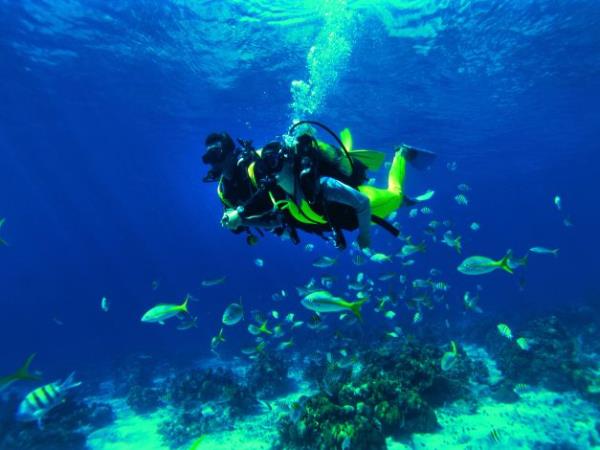 Scuba diving and tour in Cuba