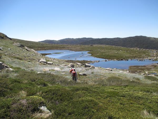 Snowy Mountains walking holiday in NSW, Australia