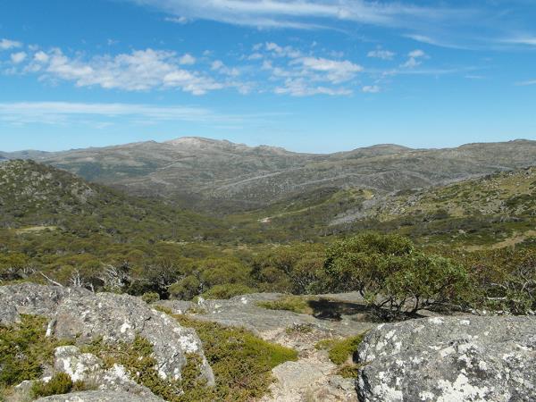 Snowy Mountains walking holiday in NSW, Australia