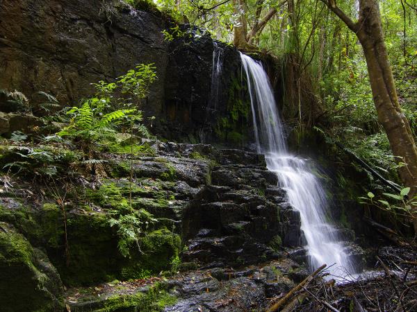 Tasmania coastal walking vacation, Australia