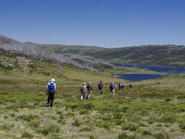 Great Alpine Walk holiday in Victoria, Australia