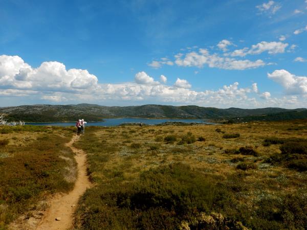 Great Alpine Walk holiday in Victoria, Australia