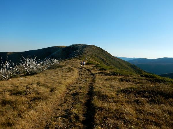 Great Alpine Walk holiday in Victoria, Australia
