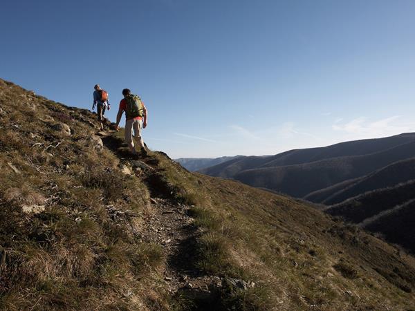 Great Alpine Walk holiday in Victoria, Australia