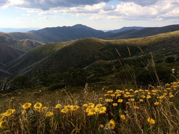 Great Alpine Walk holiday in Victoria, Australia
