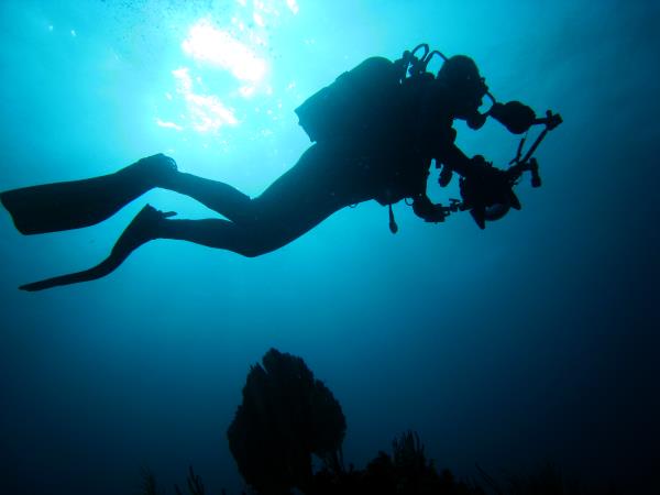 Scuba diving and tour in Cuba