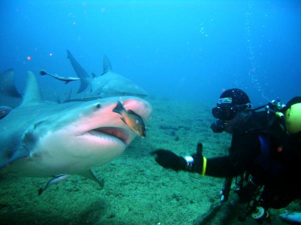 Scuba diving and tour in Cuba